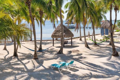 a beach with chairs and palm trees and the ocean at Villas De Isla Bonita in San Pedro