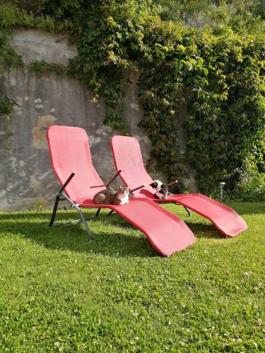 two cats sitting on chairs in the grass at Appartementhaus Klammer in Sillian