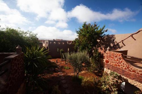 a garden with trees and plants and a building at Le Petit Yucca in Tiznit