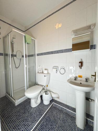 a bathroom with a toilet and a sink at Rossdene House in Blackpool