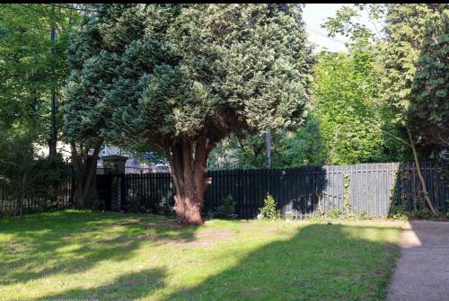 Zahrada ubytování 3-Bed Cottage Sleeps 8 Walk to Thames Garden