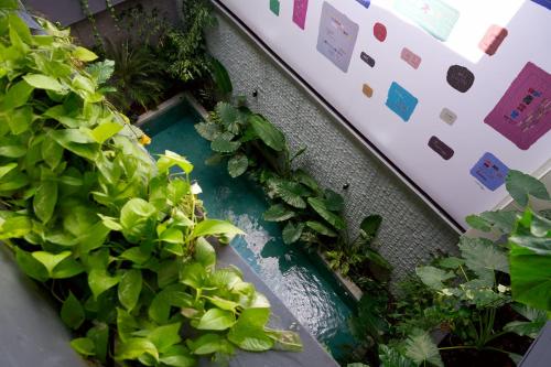 an overhead view of a garden with green plants at Casa Guogu by AmazINN Places 2f in Panama City
