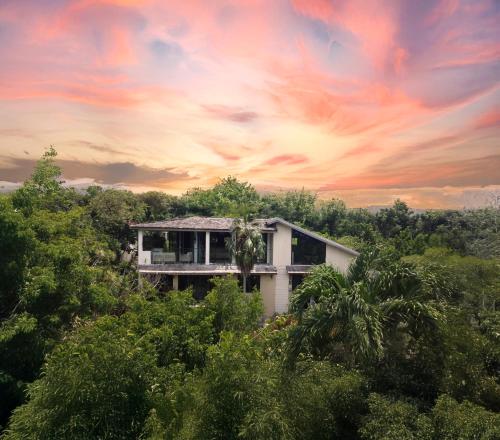 TreeTops - New Designer Villa on top of Negril!