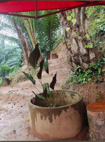 Taman di luar Kuling Camping