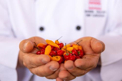 a doctor holding a handful of fruits and vegetables at Palacio del Inka, a Luxury Collection Hotel, Cusco in Cusco