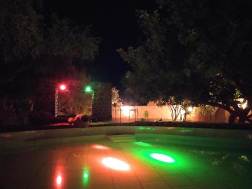 a green light in a yard at night at le petit yucca - chambre groovy in Tiznit