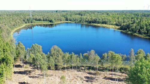 an aerial view of a lake in the woods at Holiday home Småland Siggamåla in Husjönäs