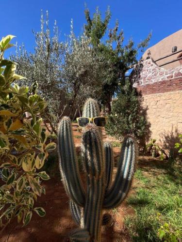 Un jardín fuera de Le Petit Yucca - chambre safari