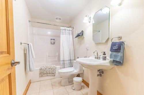 a bathroom with a sink and a toilet and a mirror at Gorgeous apartment across from La Crosse Center in La Crosse