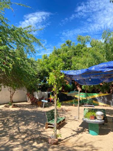 a blue umbrella and a tree in the sand at Canoa Roots Hostel & Camping in Canoa Quebrada
