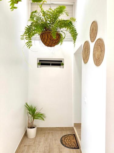 Φωτογραφία από το άλμπουμ του Apartamentos Juvimar σε Arrecife
