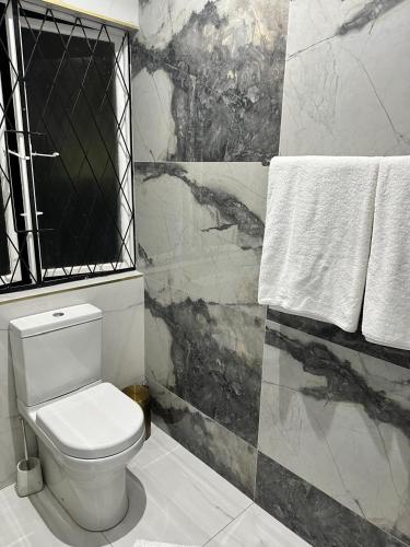 a bathroom with a toilet and a marble wall at Maison Norelle at Isivuno House in Gillitts