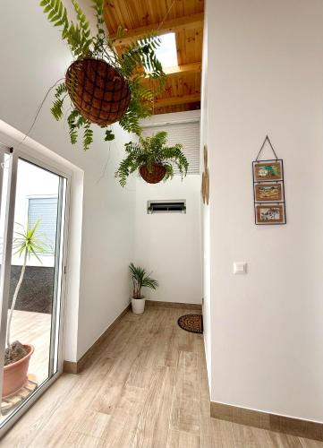 Φωτογραφία από το άλμπουμ του Apartamentos Juvimar σε Arrecife