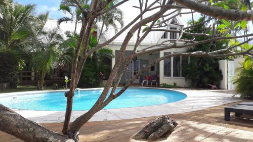 a tree in front of a swimming pool at La Rose du Sud in Saint-Joseph