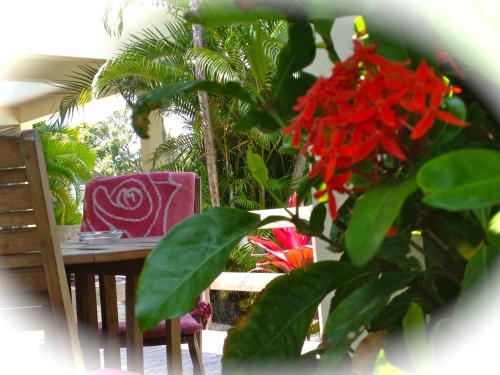 a table and chair with a red flower on a patio at La Rose du Sud in Saint-Joseph