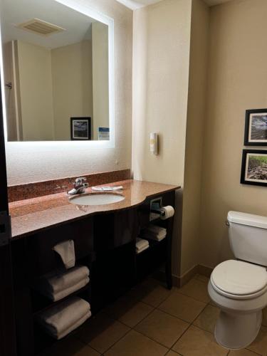 a bathroom with a sink and a toilet and a mirror at Comfort Suites in Forrest City
