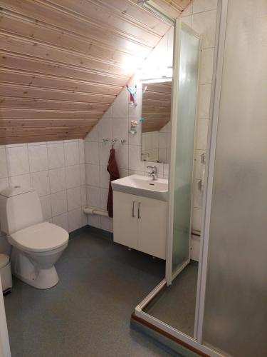 Un baño con inodoro, lavabo y ducha. en Mysigt stenhus i Simrishamn, en Simrishamn