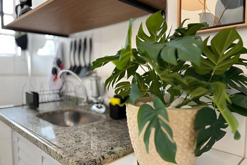 a kitchen counter with a potted plant on it at SHB - Studio in the Heart of Gonzaga by the Sea in Santos