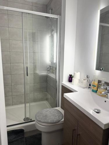 a bathroom with a shower and a toilet and a sink at Oasis Urban retreat- Regent Street in Barnsley