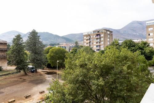 特雷比涅Leutar Central的一座以建筑、树木和山脉为背景的城市