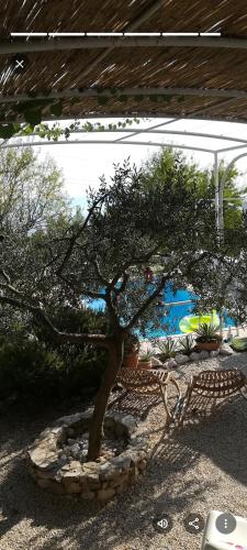 a tree in a stone circle in a yard at Villa Ana in Makarska