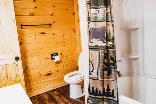 a bathroom with a toilet and a shower curtain at Creekside Cabin in Pigeon Forge