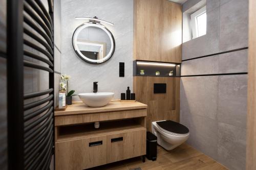 un bagno con lavandino, WC e specchio di Gyopárosi Deluxe Private Wellness House 4 Csillag a Orosháza
