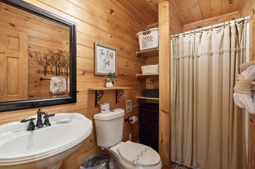 a bathroom with a toilet and a sink and a mirror at Beautiful Escape by American Patriot Getaways in Cove Creek Cascades