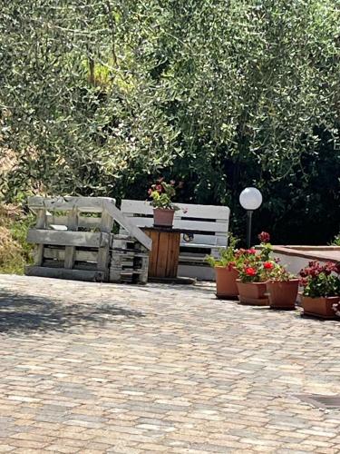 Κήπος έξω από το Rifugio tra gli olivi in campagna Toscana