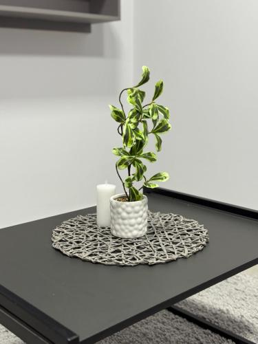 a plant on a table with a candle at Ap Centro in Ciudad del Este