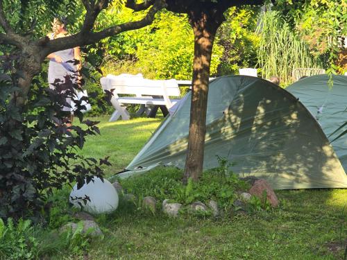 a tent sitting in the grass next to a tree at Camping - Park Władysławowo in Władysławowo