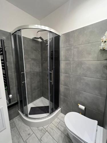 a bathroom with a shower and a toilet at Hoya Hoya in Międzybrodzie Bialskie
