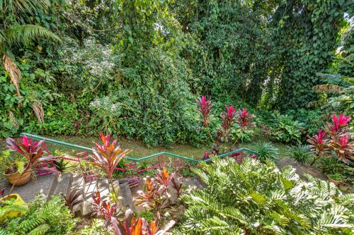 Jardín al aire libre en Babinda Quarters