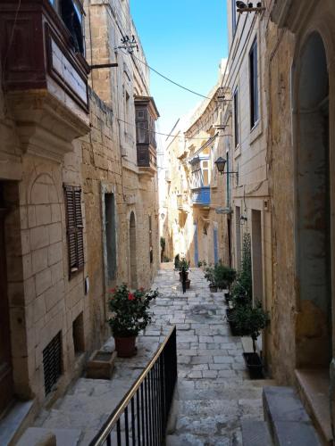 an alley with buildings and potted plants on it at Old refurbished Apartment in Bormla in Cospicua
