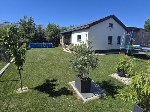 a yard with two trees and a house at Haus Dresden, Pool, Garten, Terrasse, familienfreundlich in Dresden