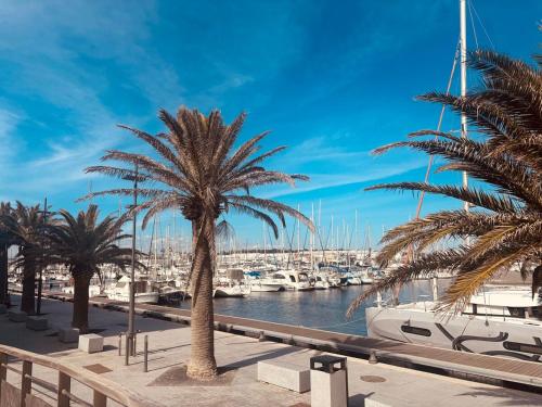 Appartement Canet-en-Roussillon