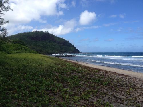 a beach with the ocean in the background at La Rose du Sud in Saint-Joseph