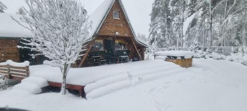 a cabin covered in snow in front of a tree at Chatka Baby Jagi - Domek z balią i kominkiem w lesie pośród jezior in Niesiołowice