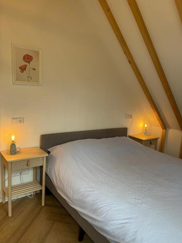 a bedroom with a bed and two night tables at VillaRein in Renesse