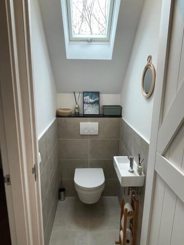 a bathroom with a toilet and a sink at VillaRein in Renesse