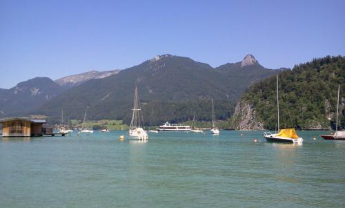 a bunch of boats in a body of water with mountains at Pilznerhof in Strobl