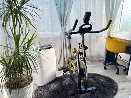 an exercise bike in a room with two plants at Apartament Benicarlo1 in Brad