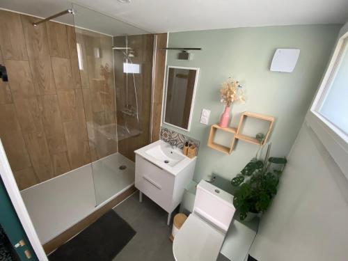 Un baño con ducha, inodoro y lavabo. en Studio de la Baroud Family, en La Pommeraye