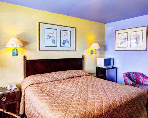 a hotel room with a bed and a tv at Nites Inn in Killeen