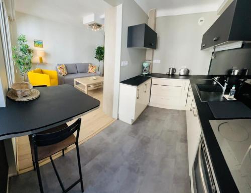 Bel appartement spacieux avec joli balcon arboré, calme, bien situé, centre ville