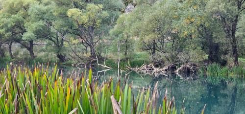 a body of water with trees and grass at Whisper of the Pliva in Šipovo