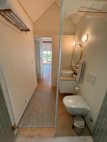 a bathroom with a toilet and a sink at Lezíria Houses - Ribatejo in Chamusca