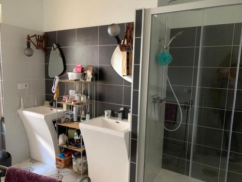 a bathroom with a shower and a sink at MAISON DE VILLE à Saint-Junien in Saint-Junien