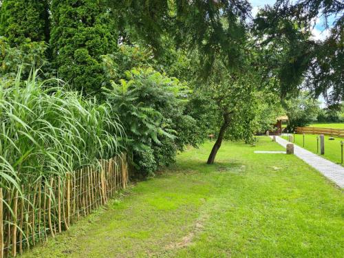 a park with a tree and a fence at Das Reethaus - Midgard in Tolk