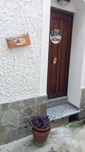 a potted plant sitting in front of a door at Da Vero in Candeasco